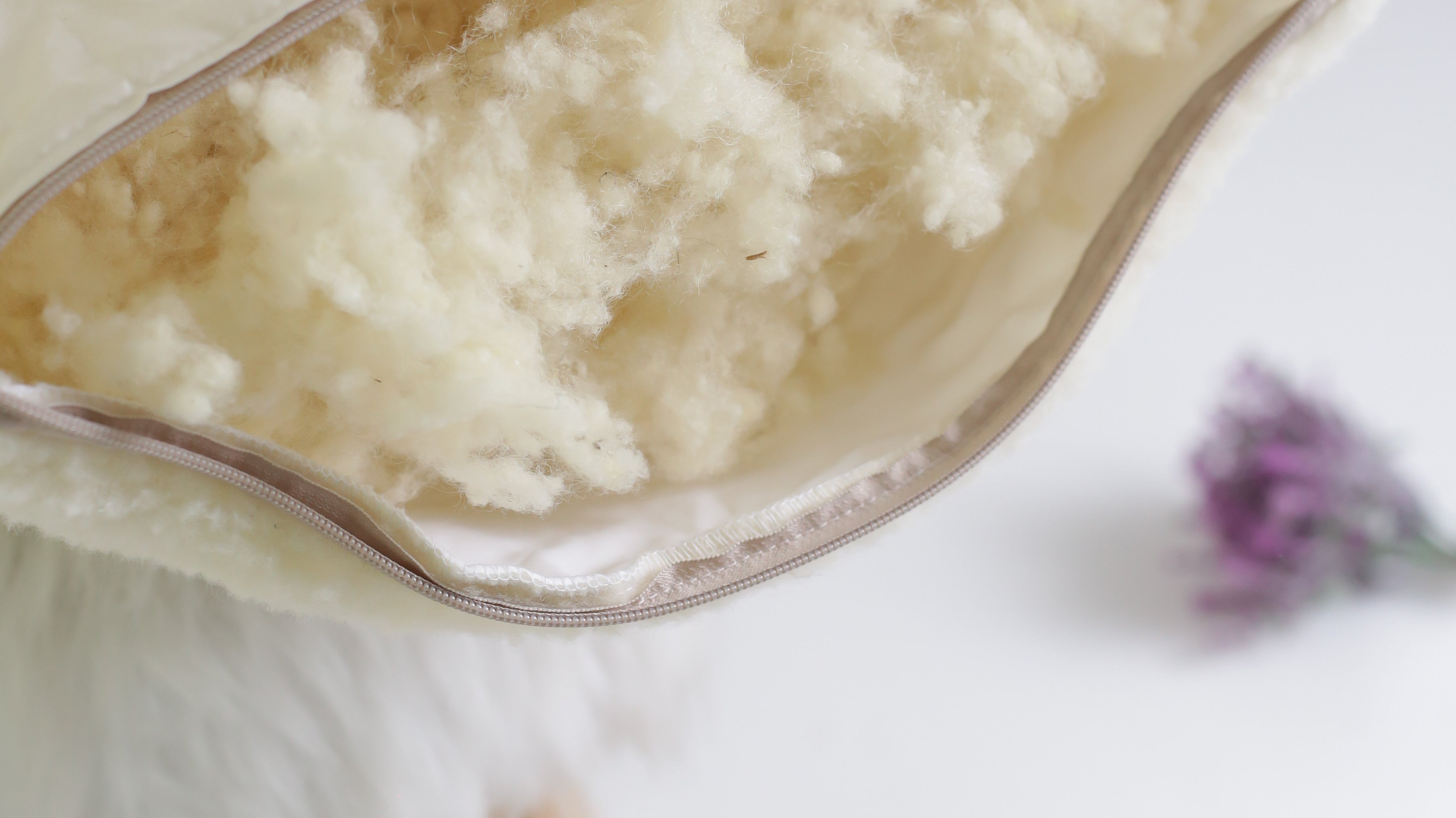 Die Wool Line feiert die Woche der Wolle