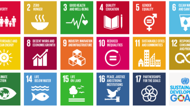 Wool Line und grüne Geschäftspraktiken