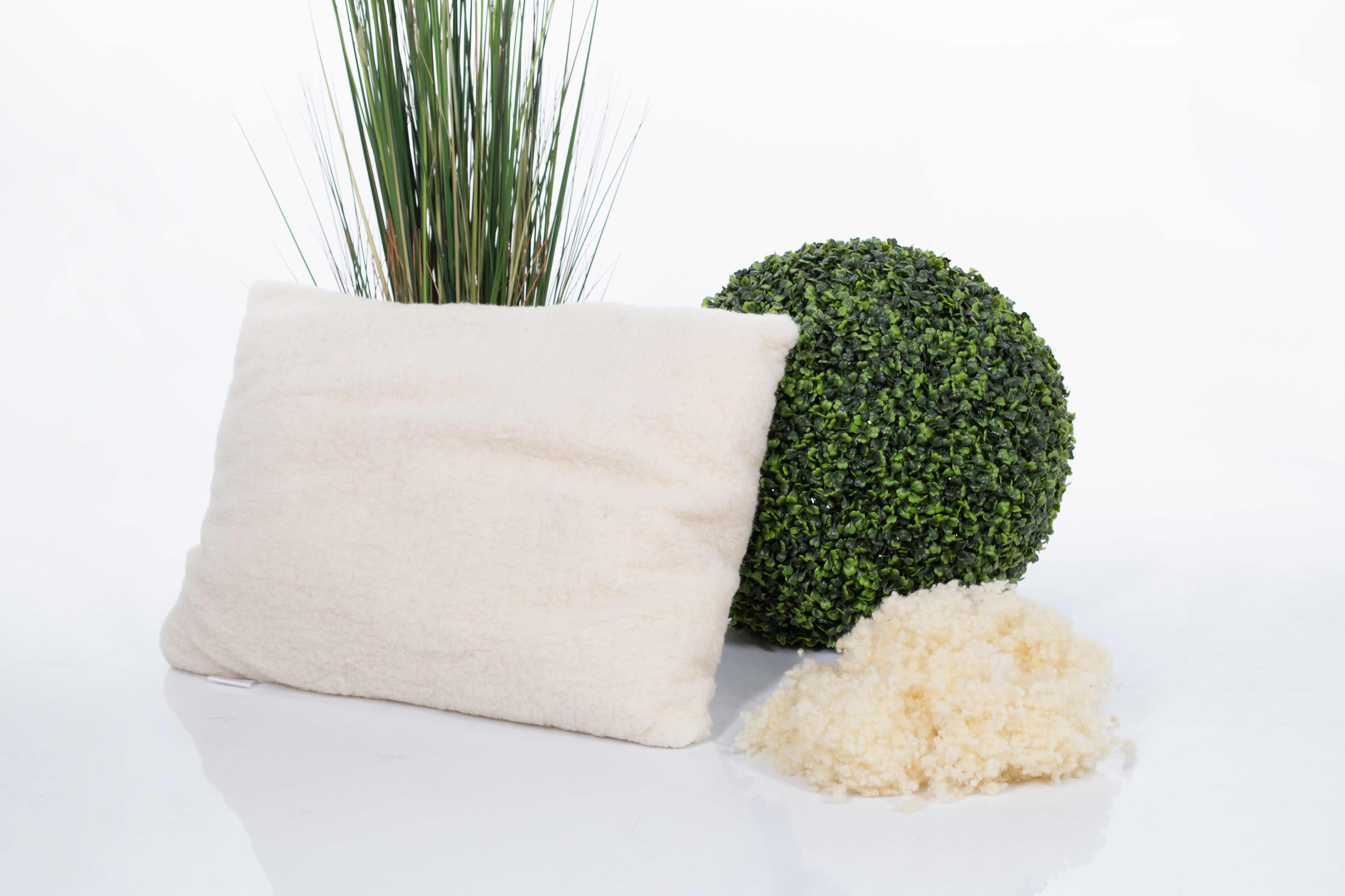 Das Wool-Line Kopfkissen Gold mit Schafschurwolle gefüllt auf weißem Untergrund vor zwei grünen Pflanzen. Links unten liegt ein kleiner Knäuel feinster Schafschurwolle, die bei Bedarf flexibel in das Kopfkissen eingefügt werden kann.