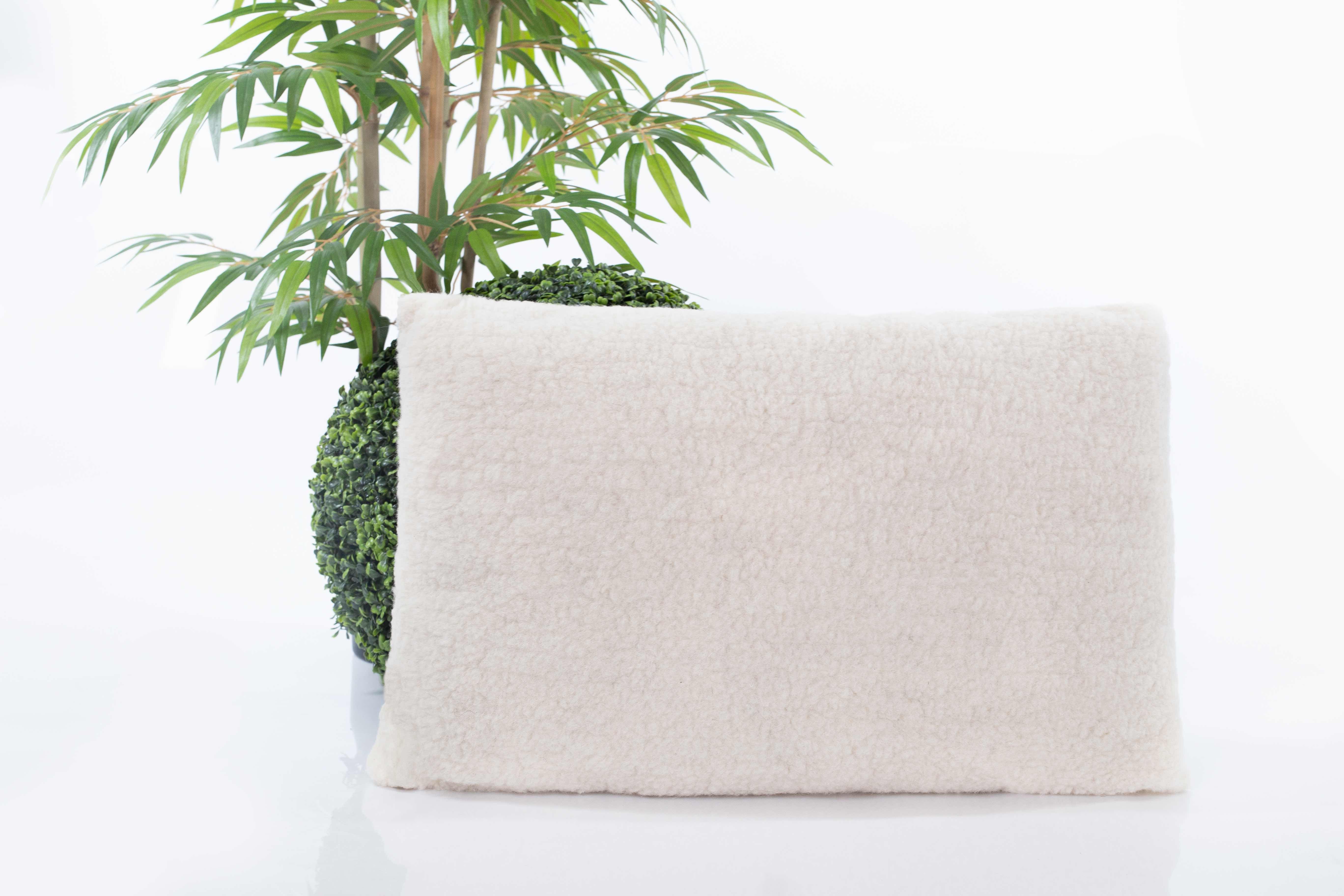 Das Schafschurwolle Kopfkissen Gold von Wool-Line lehnt an einer grünen Pflanze auf weißem Untergrund.